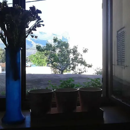 Apartmán Galeb